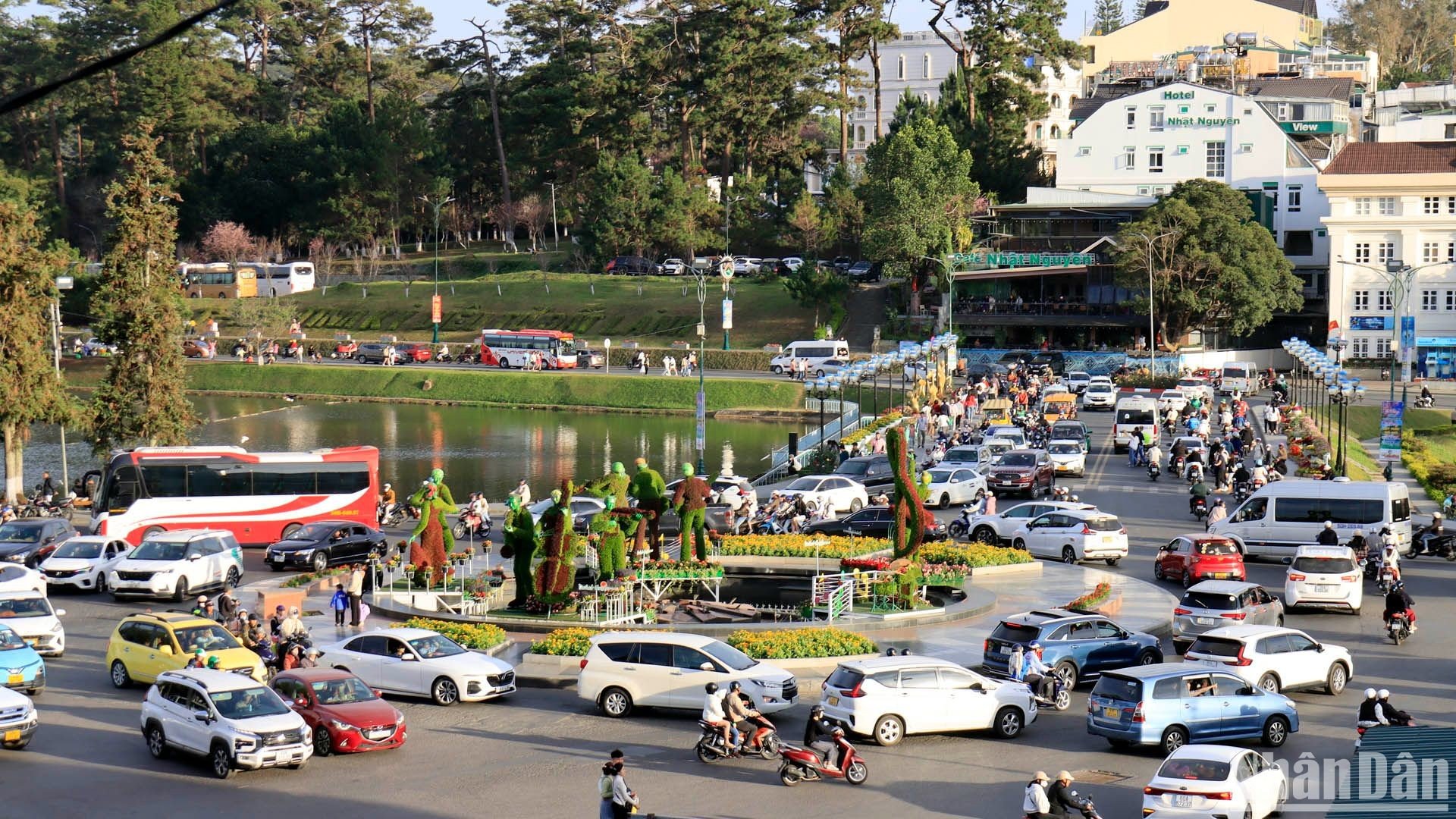 [Photo] Spring outing in the cold sun of Da Lat photo 1