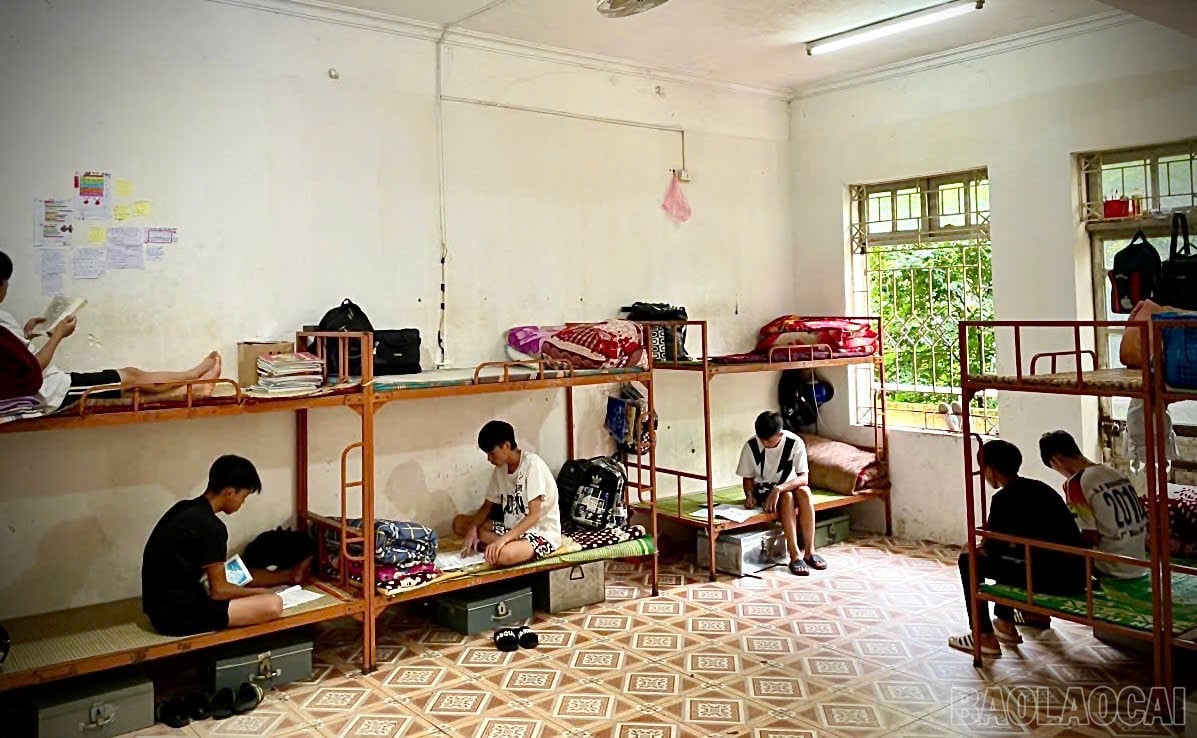 baolaocai-br_z7088846347294-9897738b7adb12bf55ef0a4ad5104340.jpg