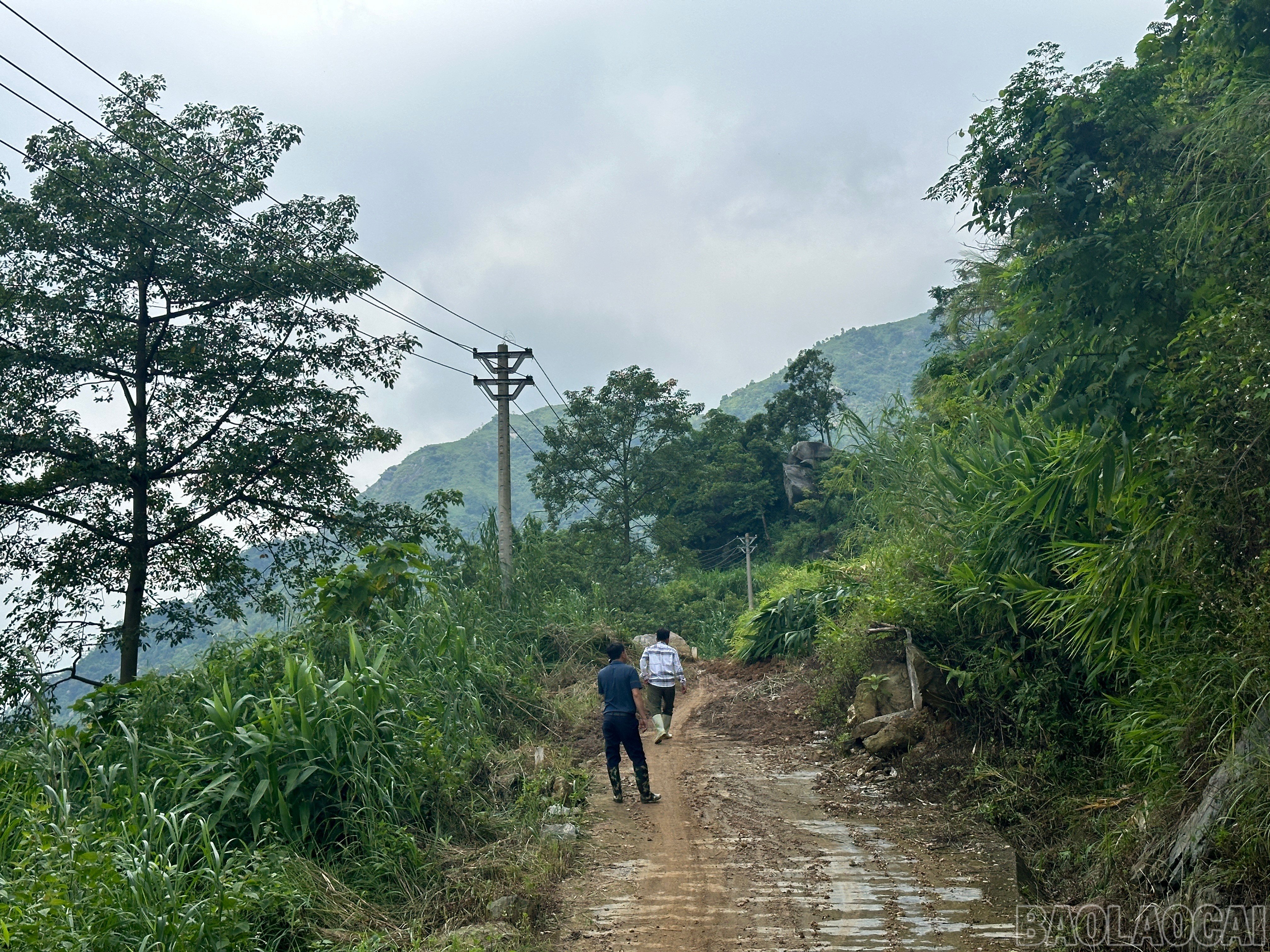 baolaocai-br_img-5713.jpg
