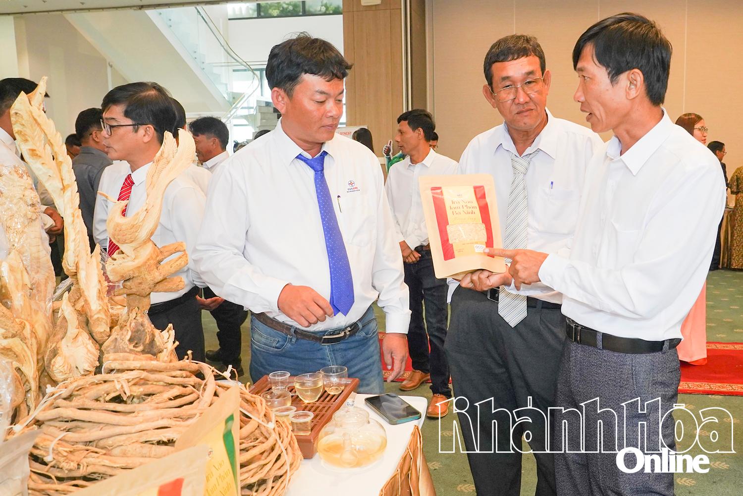 Mr. Tran Ba ​​Ninh (right cover) - Director of Ba Ninh Company Limited (Hoa Thang ward) introduces the product of three-leaf cauliflower.