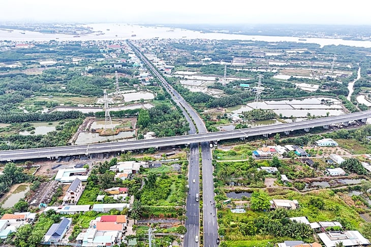 Cần Giờ - Ảnh 2.