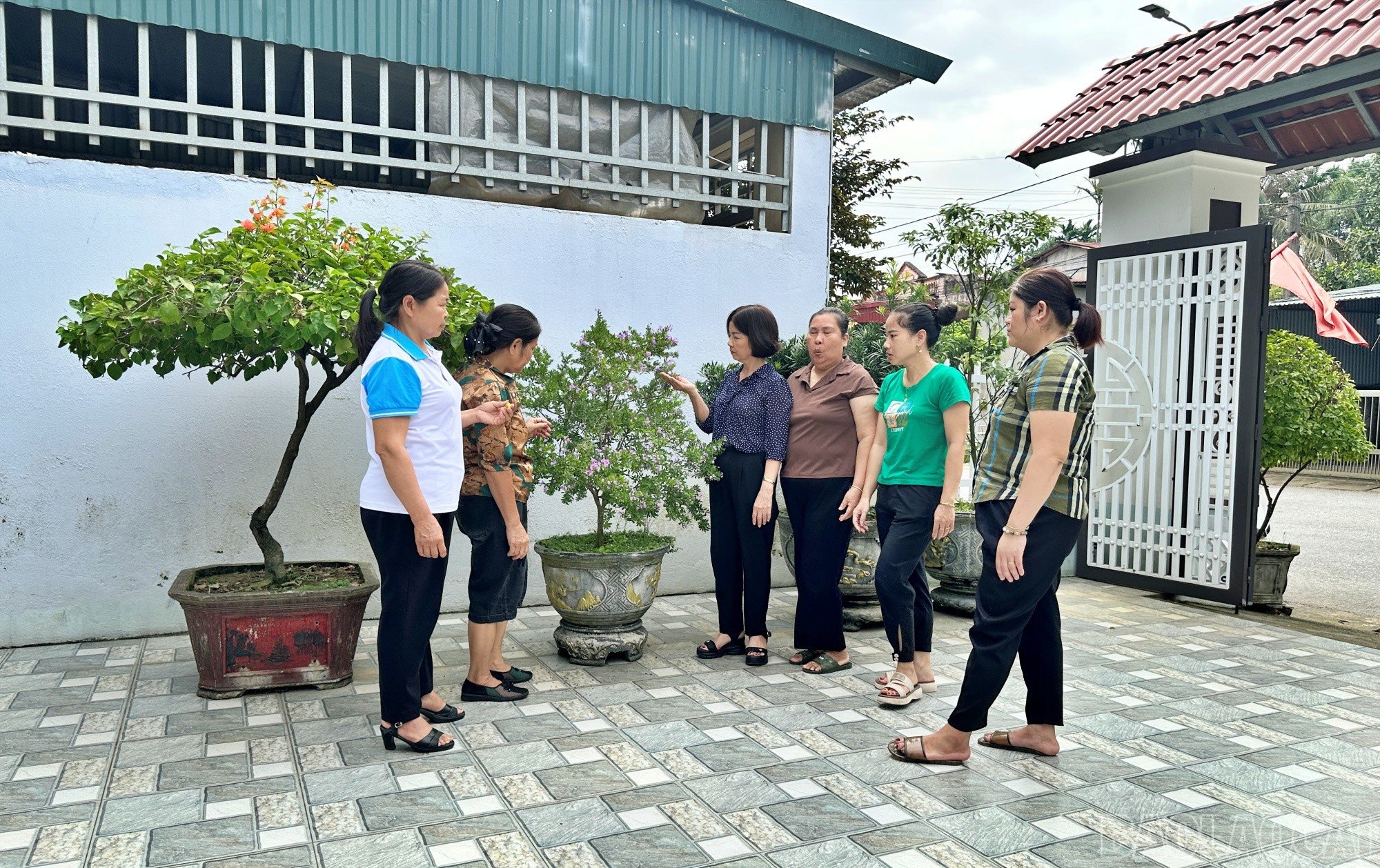 baolaocai-br_phuong2.jpg