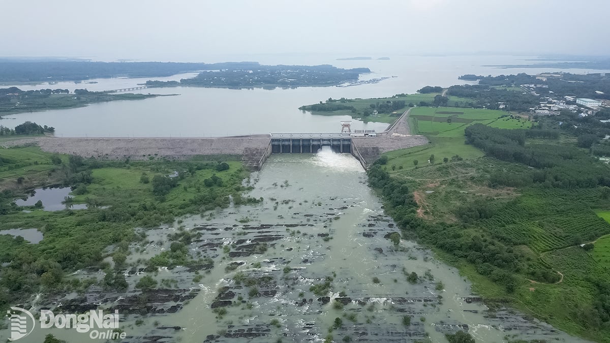 At 2 p.m. on October 7, Tri An Hydropower Plant reduced 50% of water released through the spillway. Photo courtesy  
