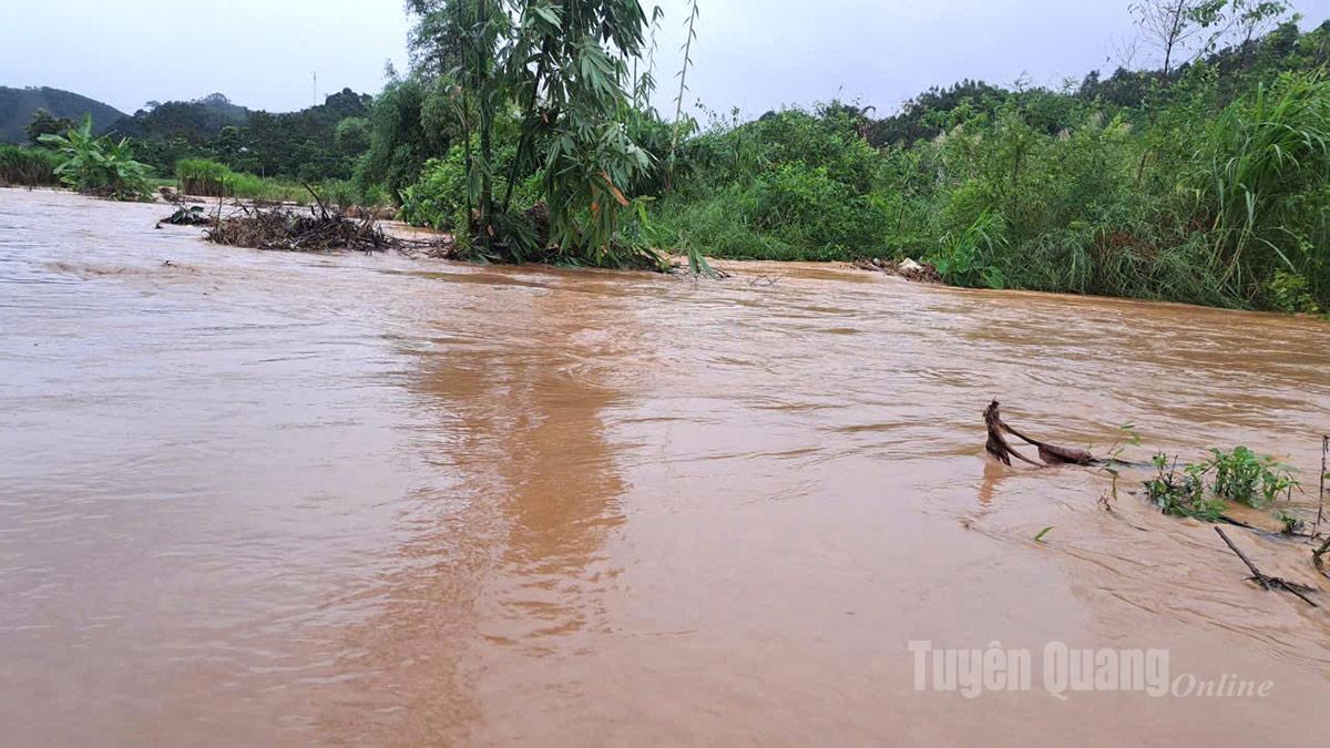 Многие поля в коммуне Тхай Бинь оказались затоплены водой.