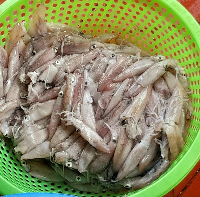 Có gì trong suất ăn bán trú giá 14.000 đồng và17.000 đồng ở trường làng Quảng Trị?- Ảnh 4.