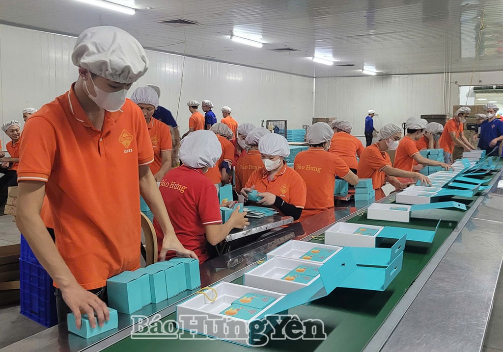 Produktverpackung bei der Bao Hung International Joint Stock Company (Gemeinde Tan Thuan).