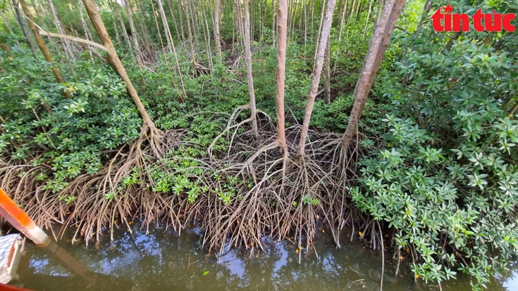 คำบรรยายภาพ