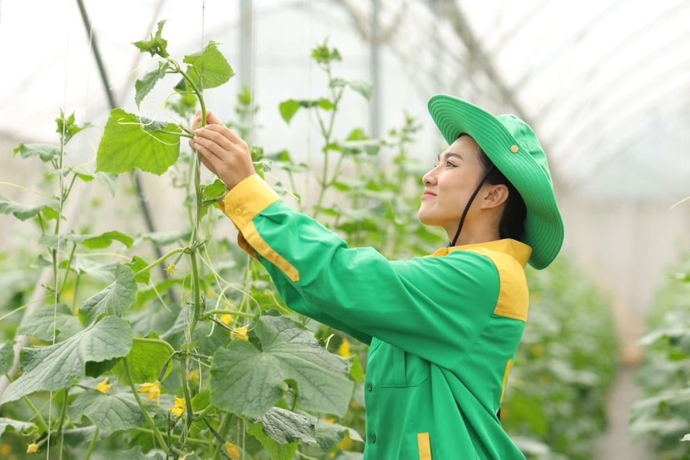 10 năm trao vị lành cho triệu bữa ăn ngon của WinEco - 4