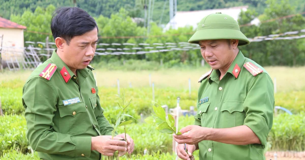 Người ‘giữ lửa’ giáo dục và rèn luyện học sinh lầm lỗi ở Trường Giáo dưỡng số 3