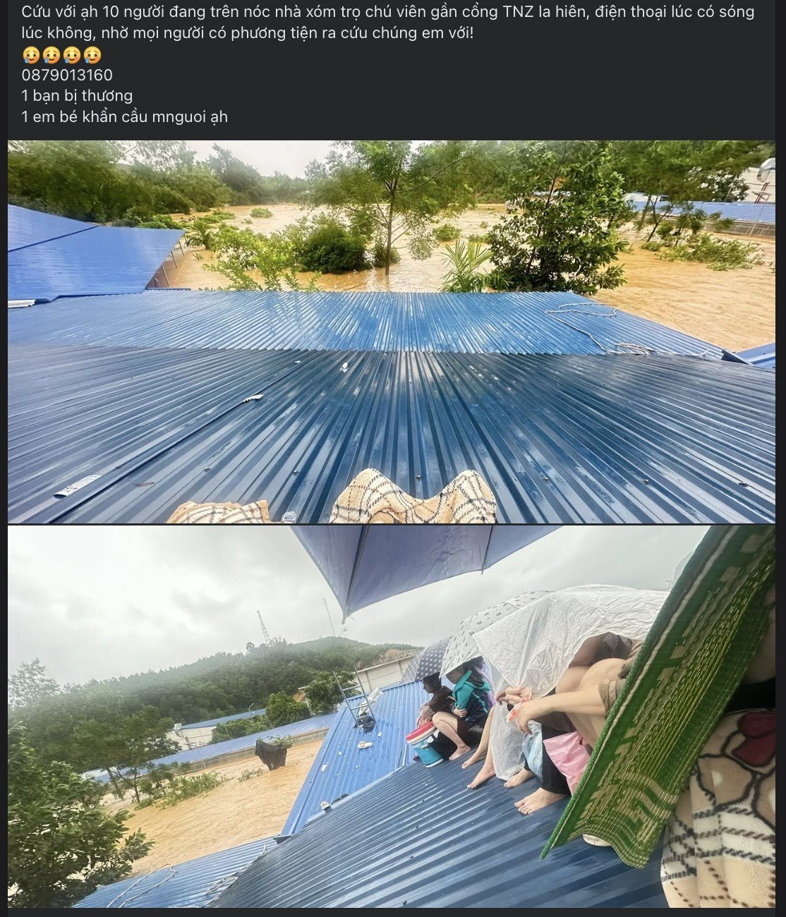 មនុស្ស​បាន​ឡើង​លើ​ដំបូល​ផ្ទះ ហើយ​បាន​ទៅ​លើ​បណ្តាញ​សង្គម ដើម្បី​អំពាវនាវ​រក​ជំនួយ។
