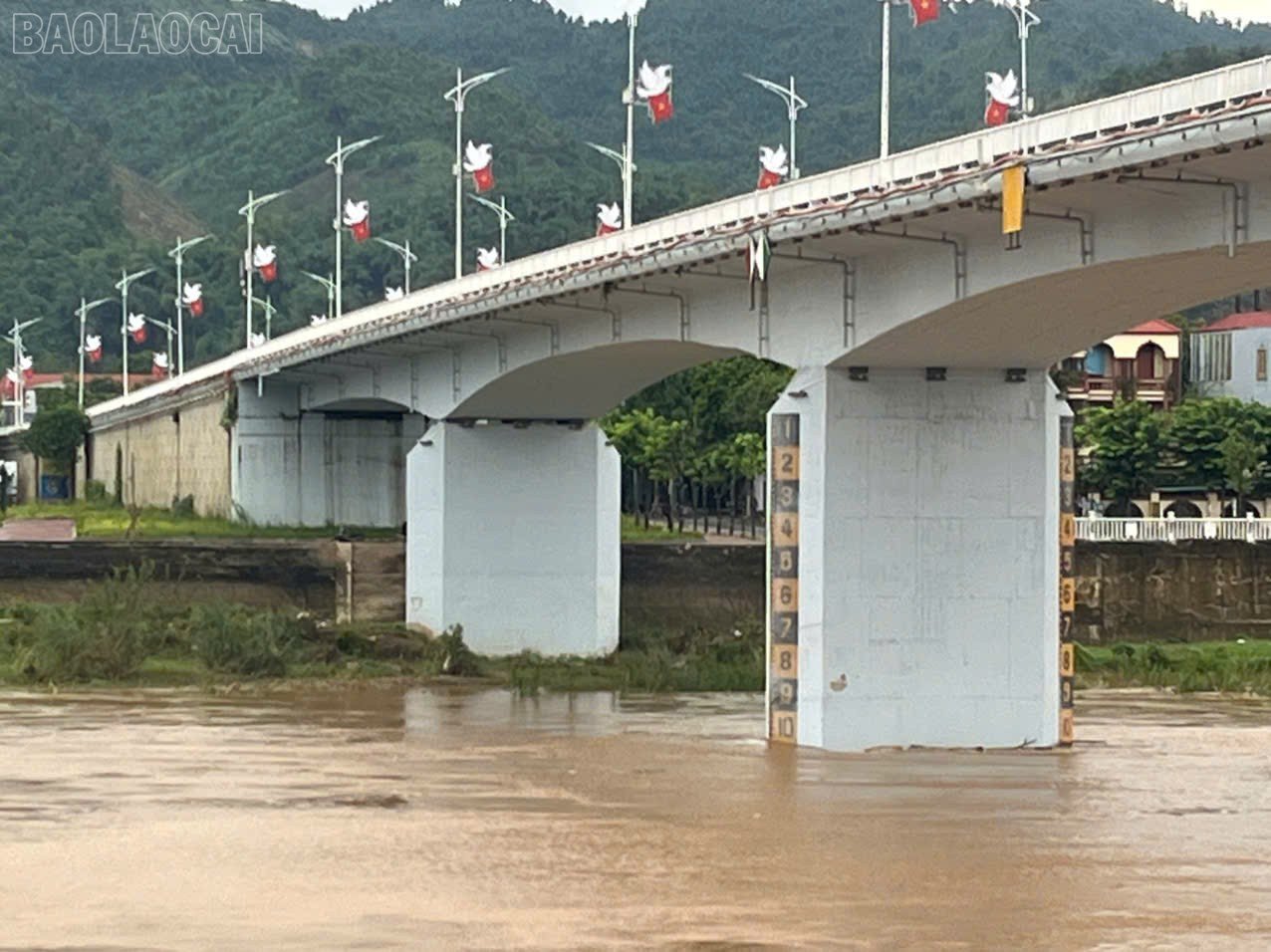 baolaocai-tl_z7091153906875-40b291f7216b085db9d440e688089f61.jpg
