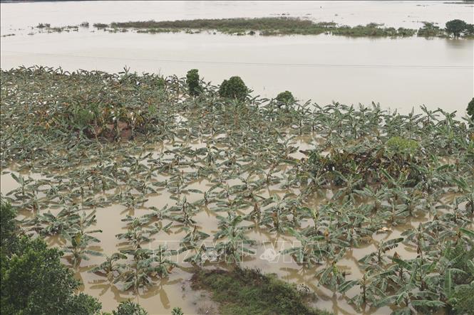 ចំណងជើងរូបថត