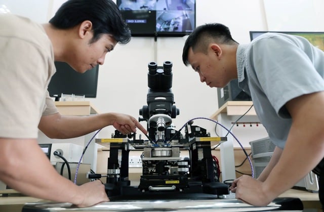 Sắp xếp trường đại học: Phải cân nhắc yếu tố thương hiệu - Ảnh 2.