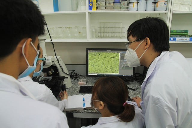 Sắp xếp trường đại học: Phải cân nhắc yếu tố thương hiệu - Ảnh 3.