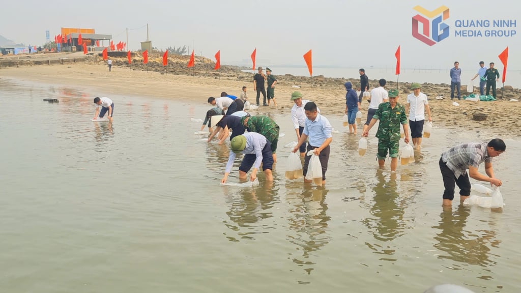 ការបញ្ចេញគ្រាប់ពូជដើម្បីបង្កើតធនធានជលផលឡើងវិញ