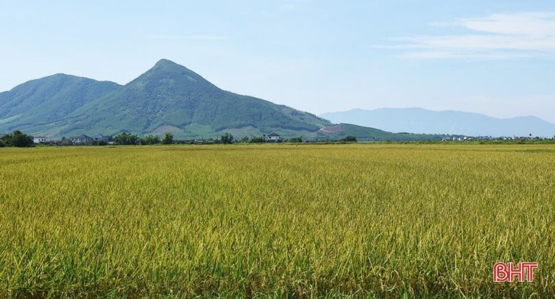 image-2.jpg