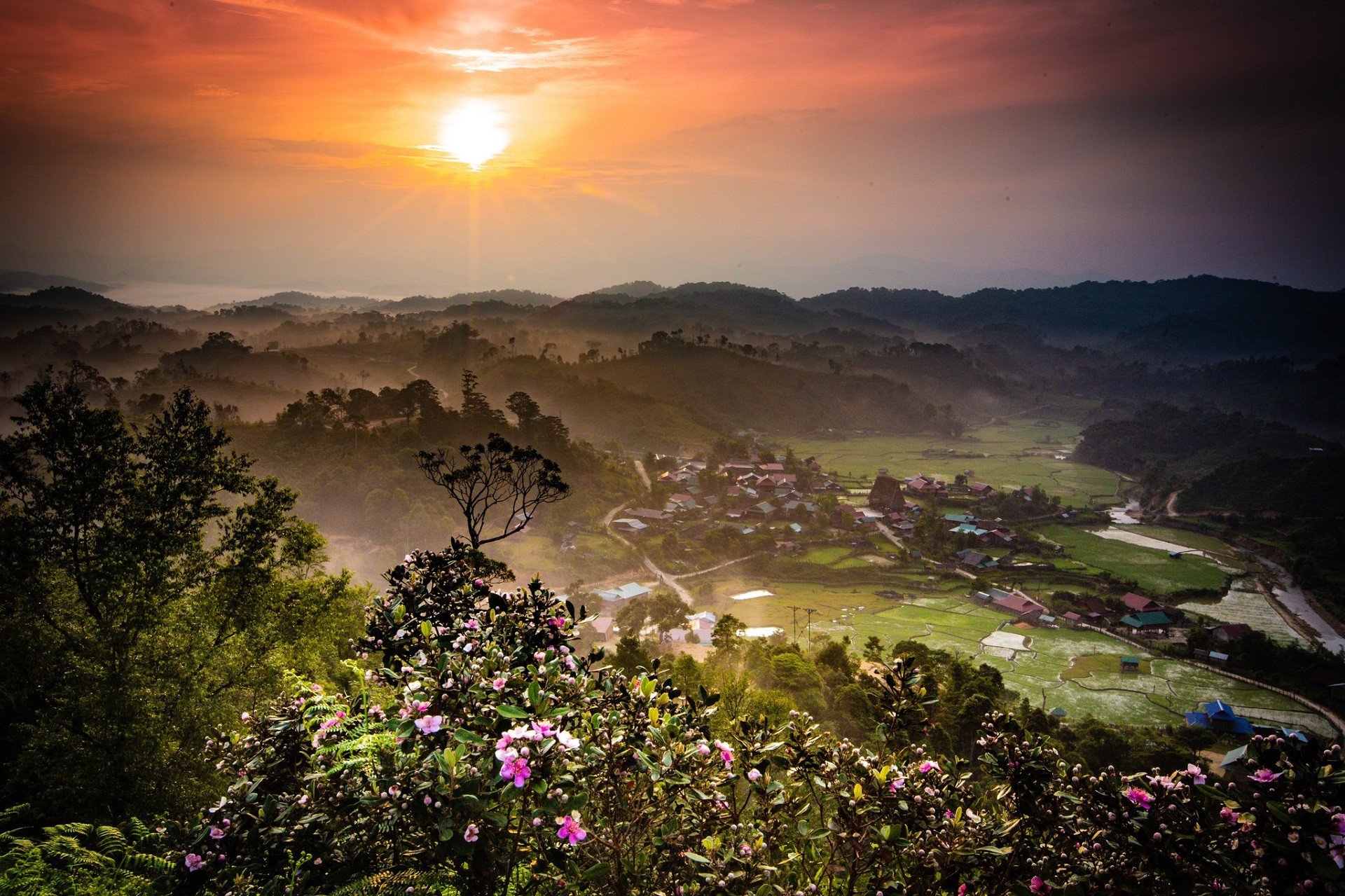 Ngôi làng 'thiên đường địa lan' ở Măng Đen, khách tới chữa lành 3 lần không chán