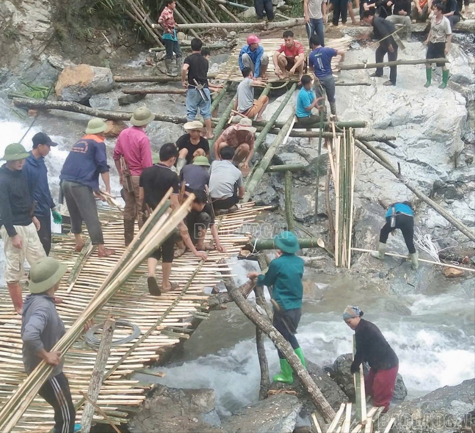 baolaocai-c-z7090137645842-6bb443e7e64cde4db29d8c1b72e95f21.jpg