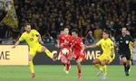 La défaite contre la Malaisie pose un problème difficile au football vietnamien dans l'utilisation des joueurs naturalisés.