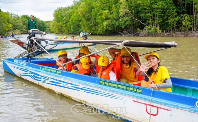 Cà Mau: Du lịch đường thủy giai đoạn 2023-2025 ước đạt hơn 15,6 tỷ đồng - Ảnh 1.