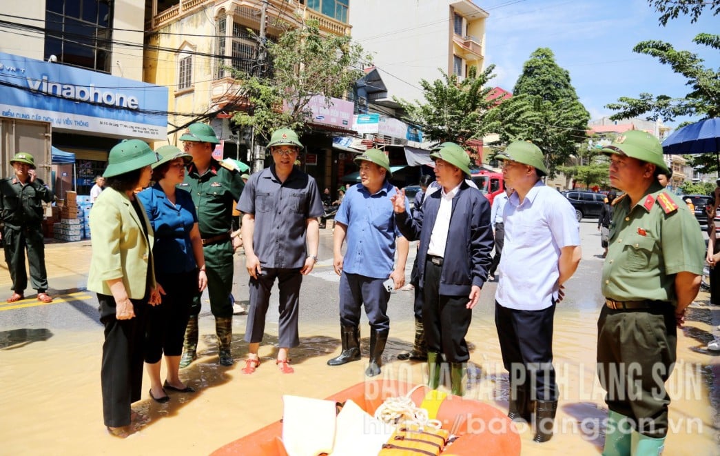 Phó Thủ tướng Chính phủ Hồ Đức Phớc kiểm tra thực tế công tác ứng phó ngập úng tại xã Hữu Lũng