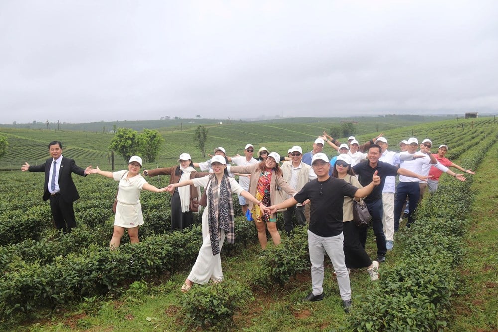 Liên kết vùng Khánh Hòa - Lâm Đồng: Kết nối xứ biển, trà và hoa - Ảnh 1.