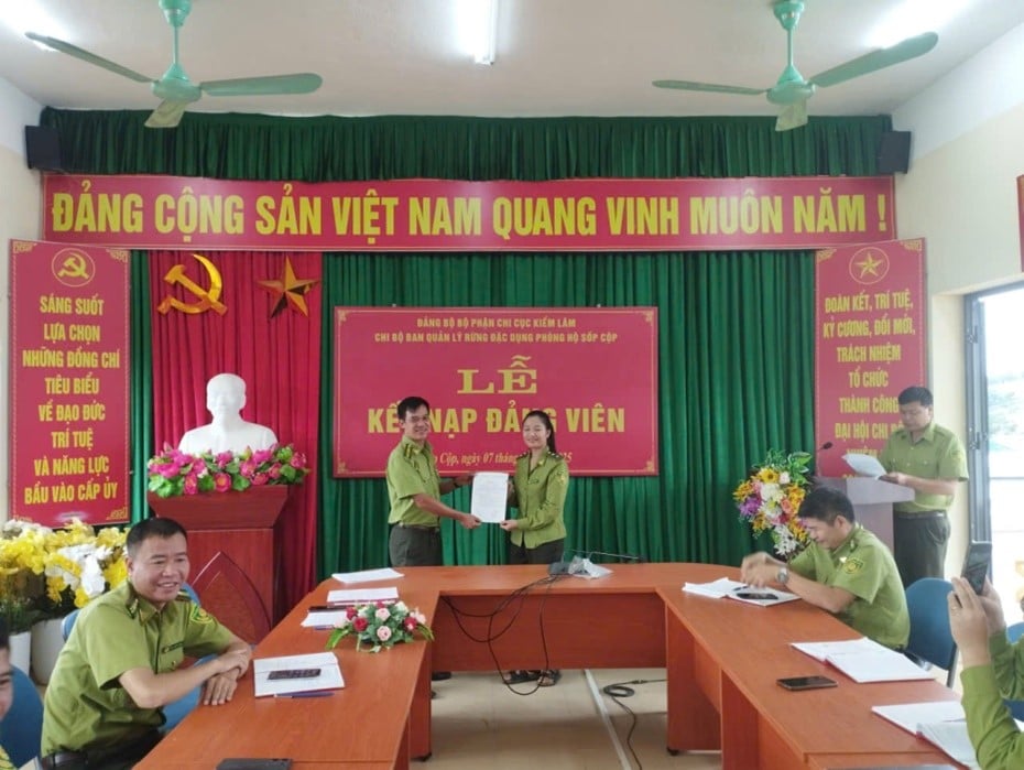 anh tin bai