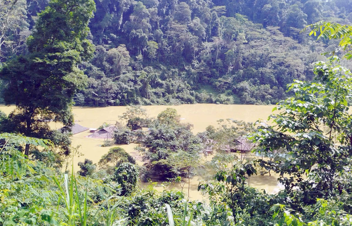 Vinh Thong