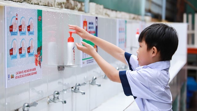 Xây dựng mô hình ‘Trường học Xanh - Sạch - Khỏe’ cho học sinh tiểu học - Ảnh 2.