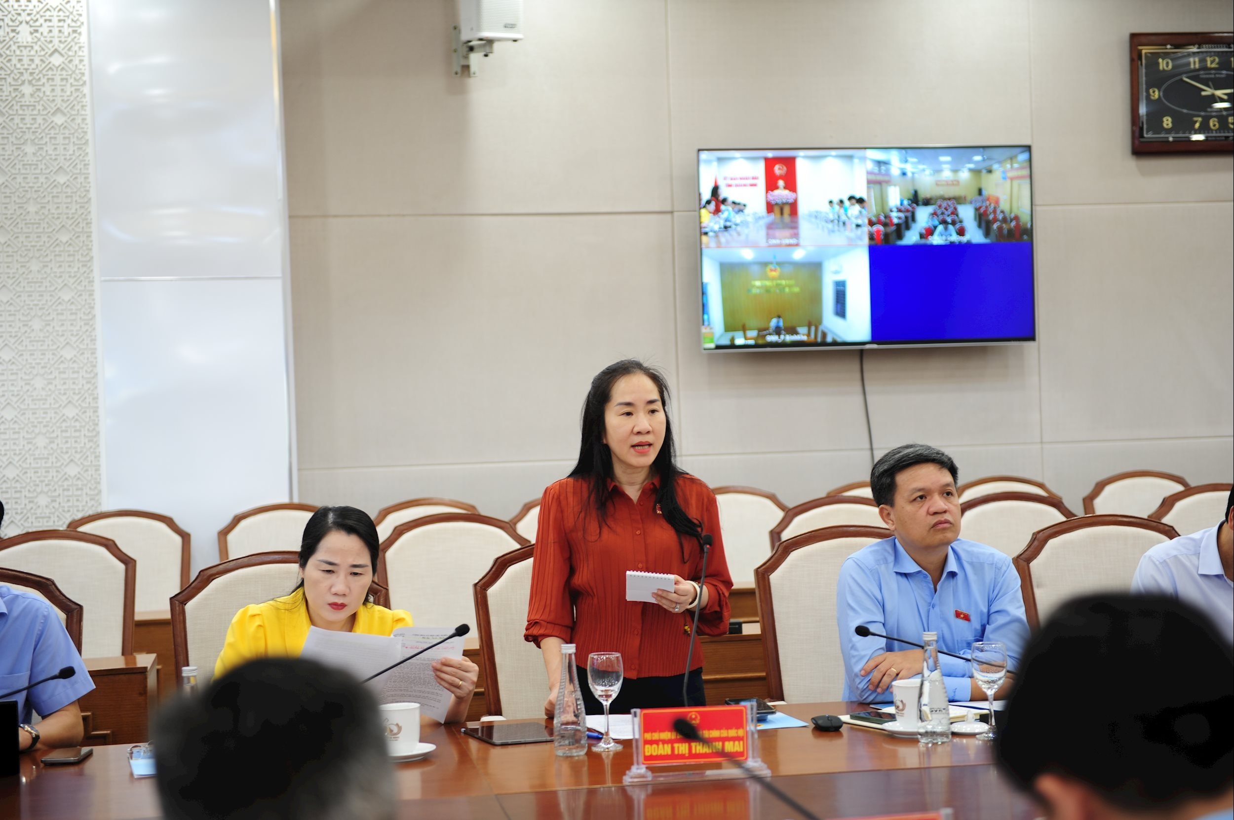 Vice Chairwoman of the Economic and Financial Committee Doan Thi Thanh Mai speaks