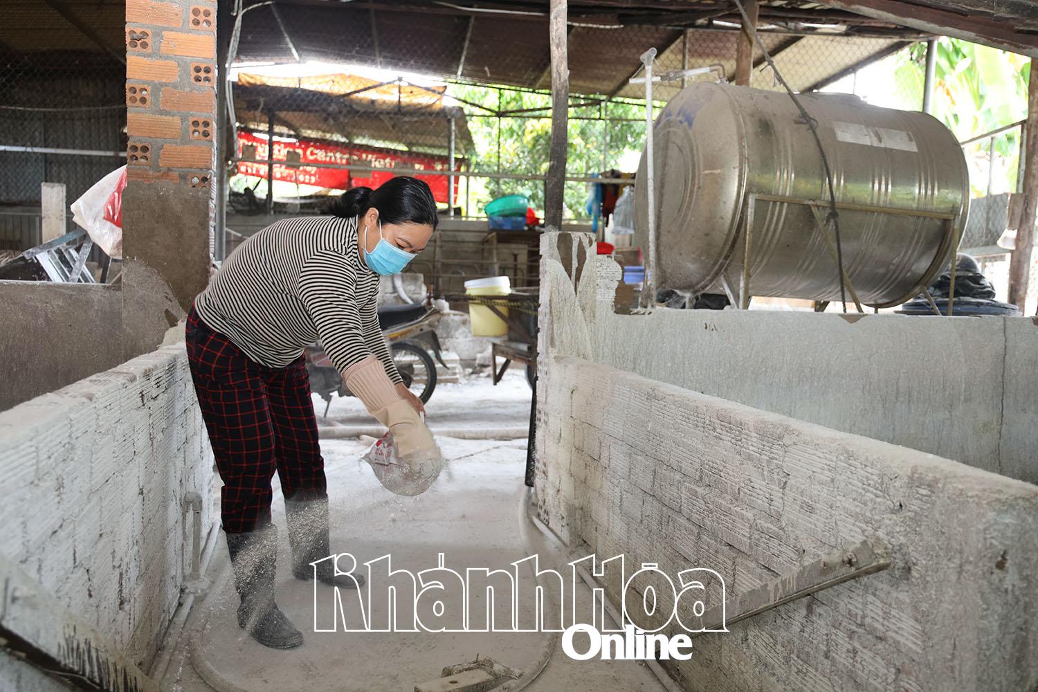 Một hộ dân phường Nam Nha Trang rắc vôi bột khử trùng chuồng nuôi heo.  