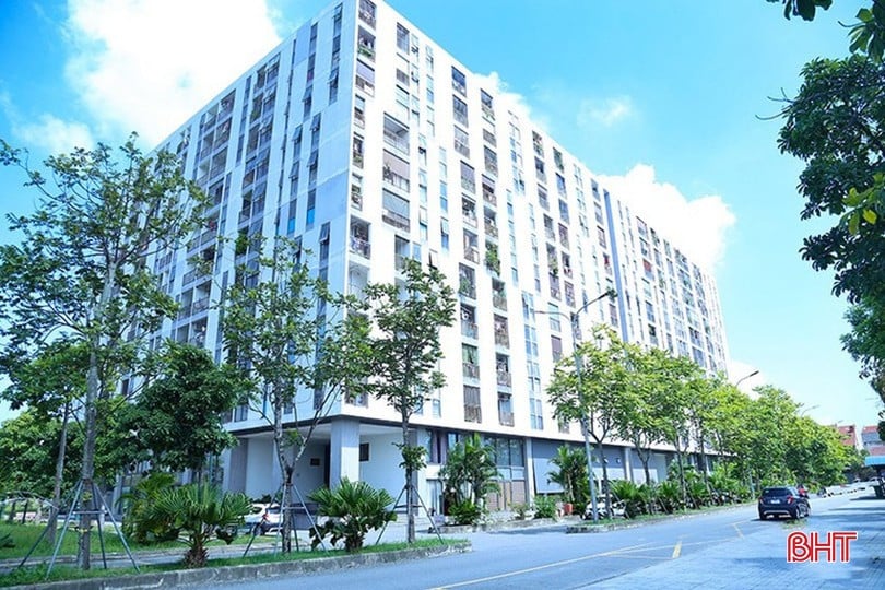 image-1.jpg