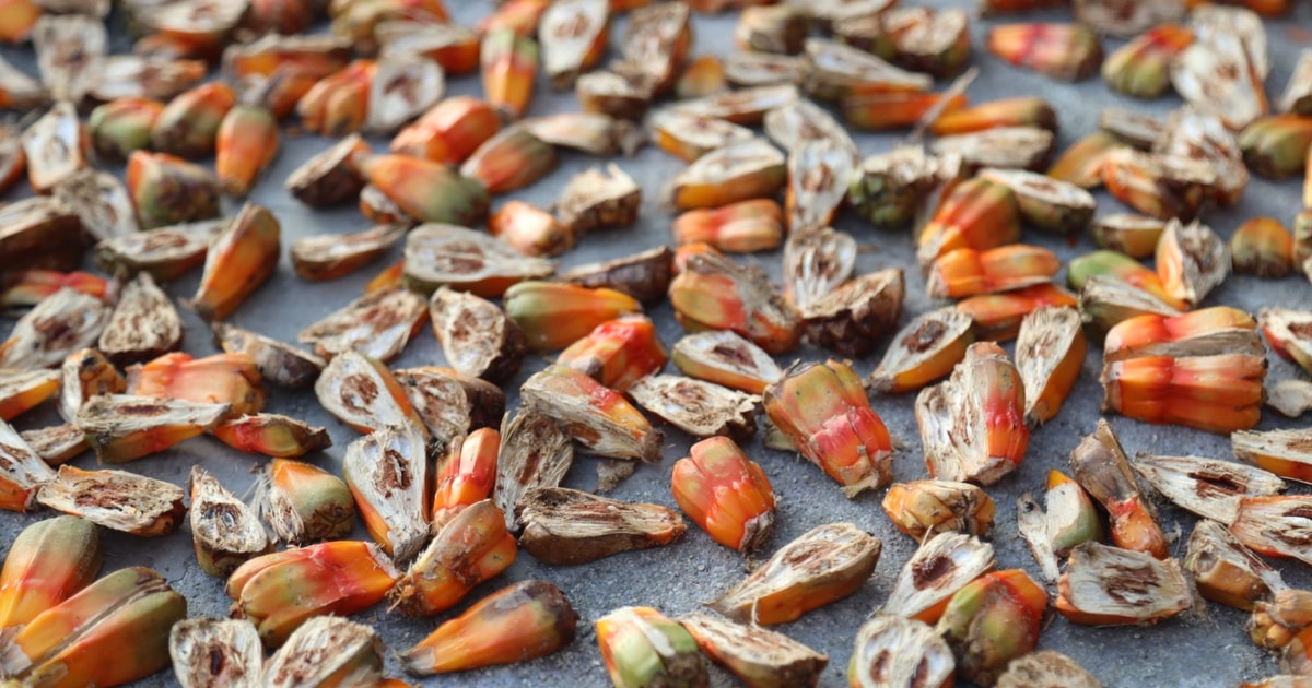 Đặc khu Phú Quý và những hương vị không thể bỏ lỡ