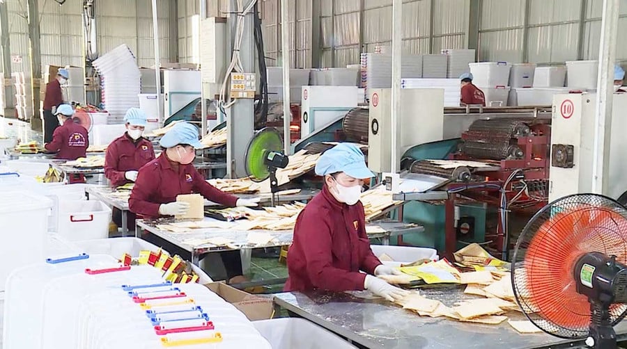 Công ty TNHH Nhân Hòa ứng dụng đồng bộ 5S-Kaizen và hệ thống ISO 22000 vào sản xuất. Ảnh: T.Lợi