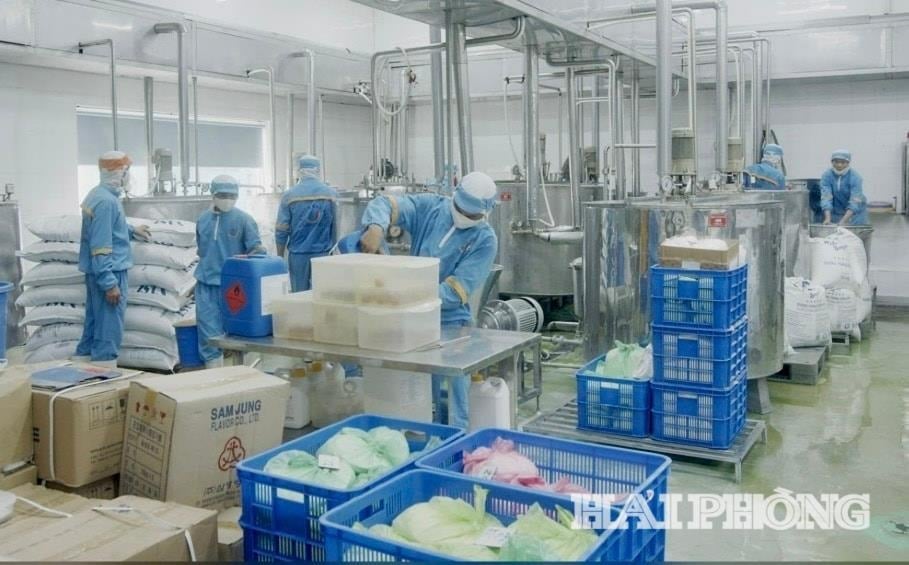 Long Hai Company Limited es siempre una empresa con altas contribuciones al presupuesto interno anual en la región occidental de Hai Phong.