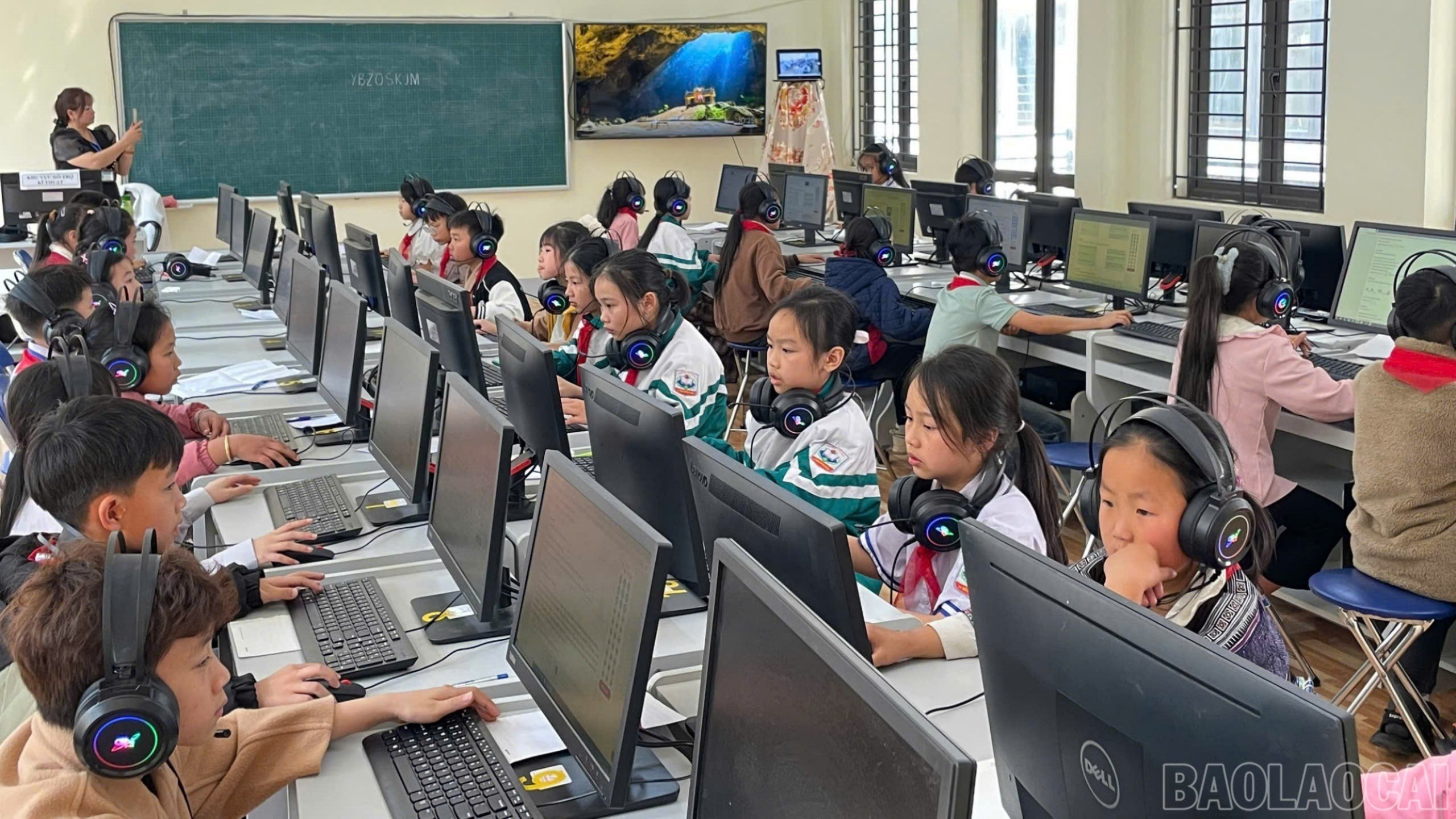 baolaocai-br_1e494098d1d45c8a05c5.jpg