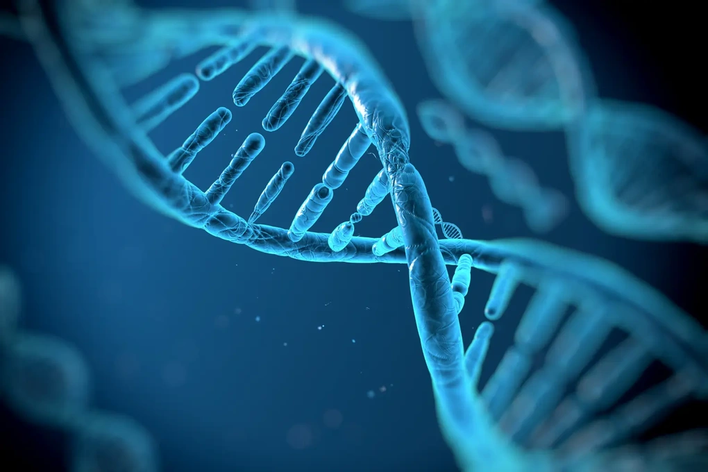 Tranh luận về giả thuyết “DNA người ngoài hành tinh” trong con người - 2