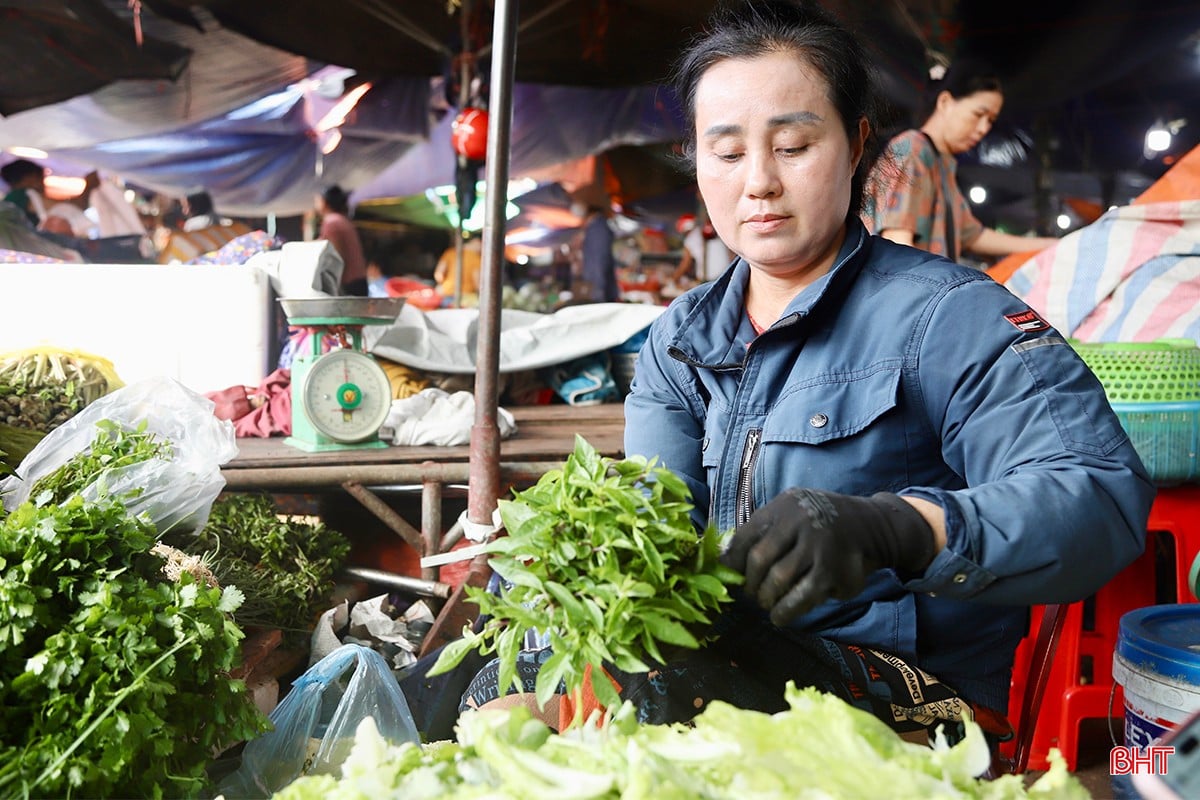 Chị Nguyễn Thị Trình - tiểu thương tại chợ tỉnh Hà Tĩnh cho hay: “Rau gia vị tại các vùng cung cấp chính đều bị ngập nặng, hư hỏng nhiều nên nguồn cung khó khăn, giá cao. Nếu trước đây 3.000 đồng đã có thể mua một mớ rau quế nhỏ thì nay giá đã lên đến 7.000-8.000 đồng, mà rất khó có để mua. Rau mùi trước có giá 30.000 đồng/kg nay đã tăng lên 70.000 đồng/kg; rau cải bó 5.000 đồng/bó nay lên đến 10.000-15.000 đồng/1 bó….”.