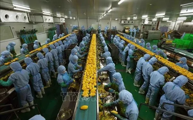 9 tháng đầu năm, Hoa Kỳ tiếp tục là thị trường xuất khẩu lớn nhất của Việt Nam