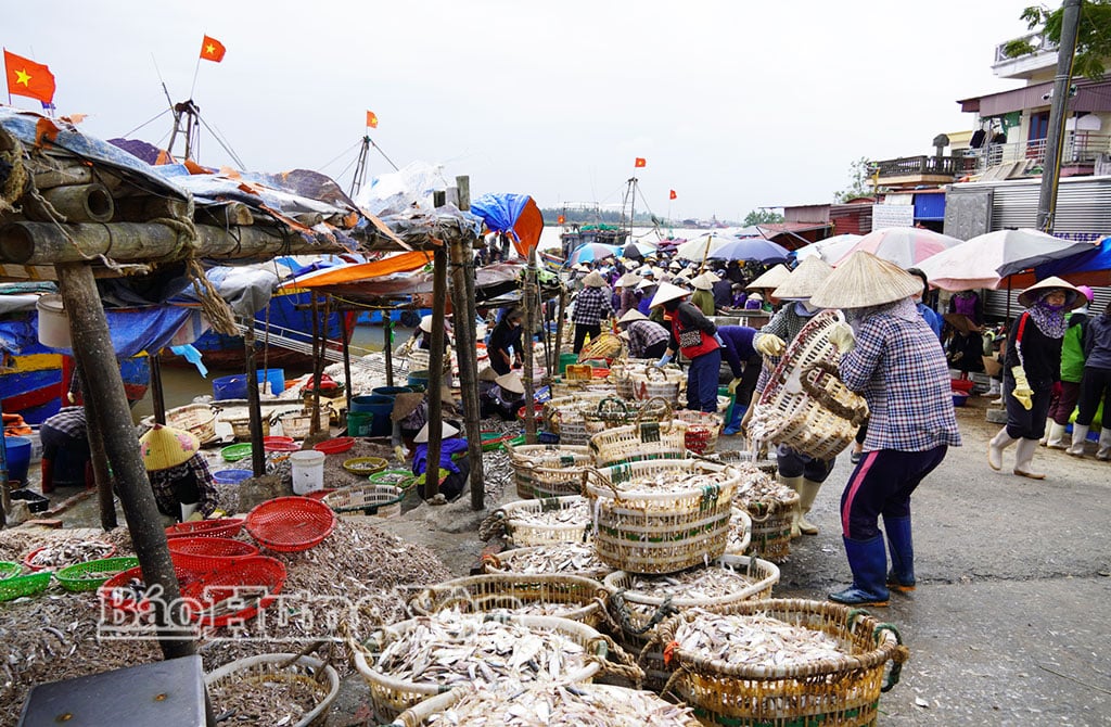 Nhộn nhịp cảng cá Tân Sơn, xã Thái Thụy.