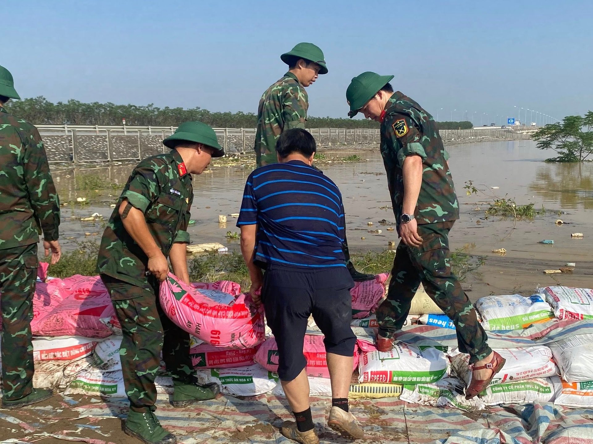 a391.de-tam-giang.jpg