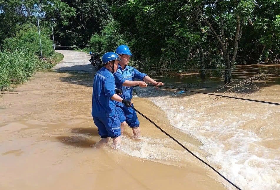 사진 설명