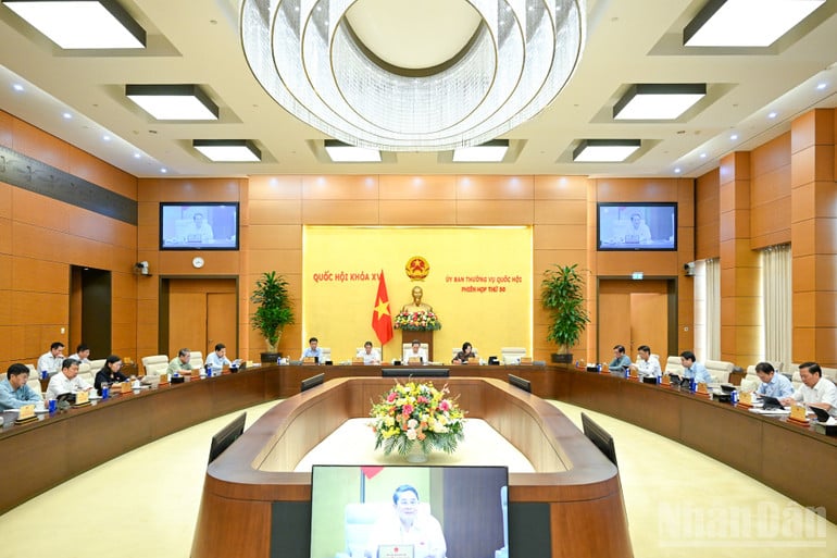 ndo_br_bnd-8708.jpg