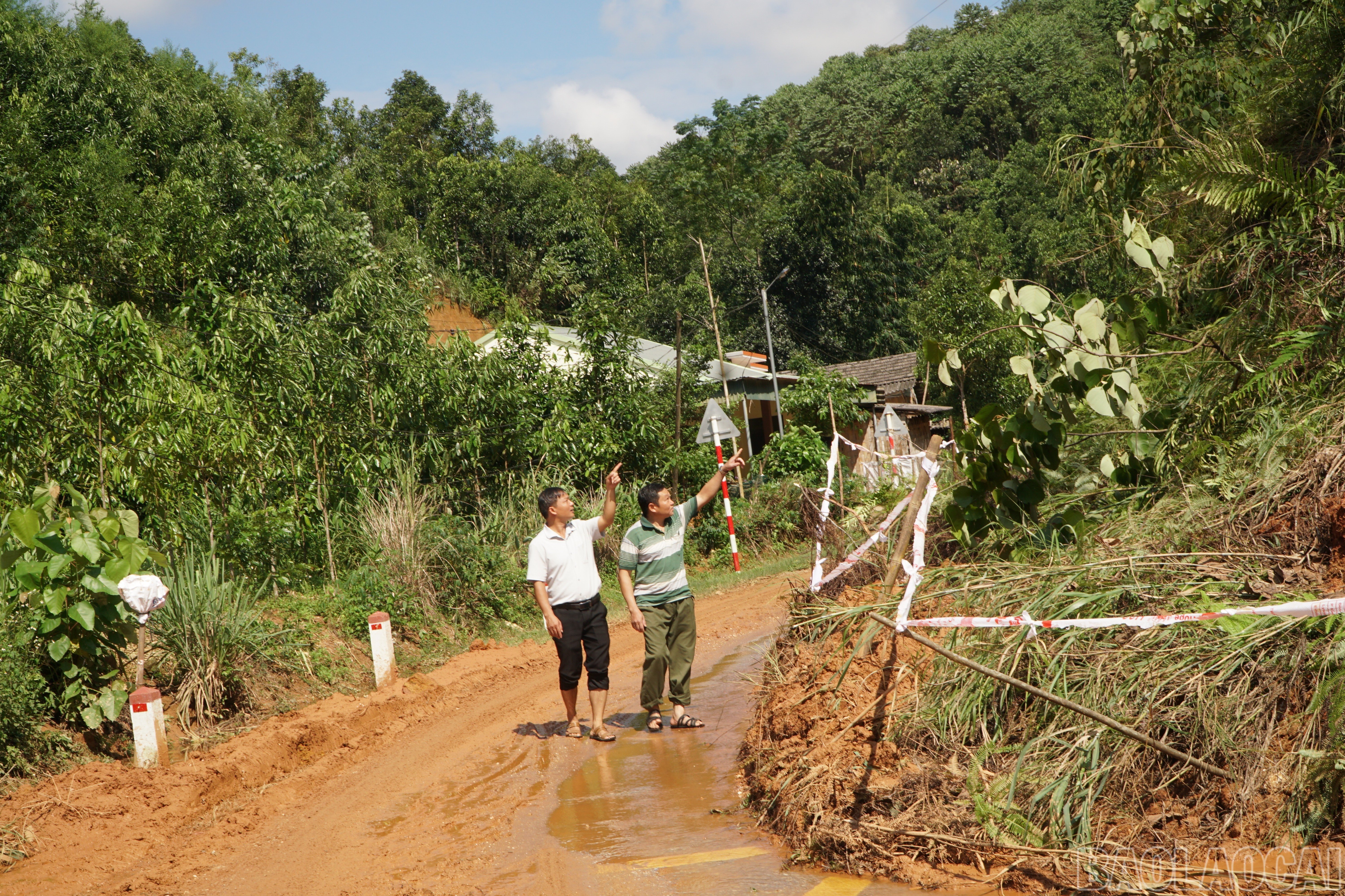 baolaocai-br_save-20251009-132908.jpg