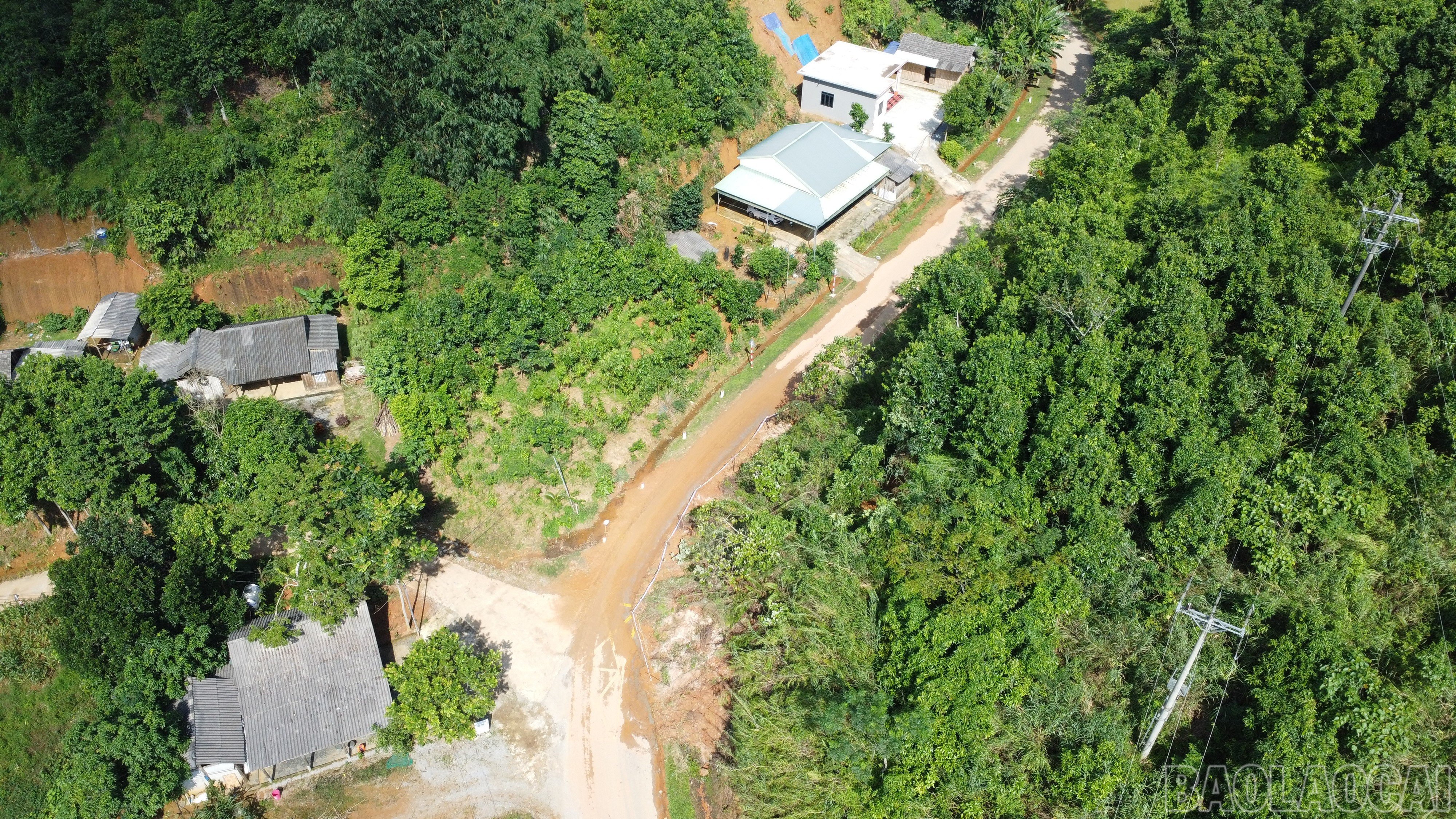 baolaocai-br_save-20251009-133057.jpg