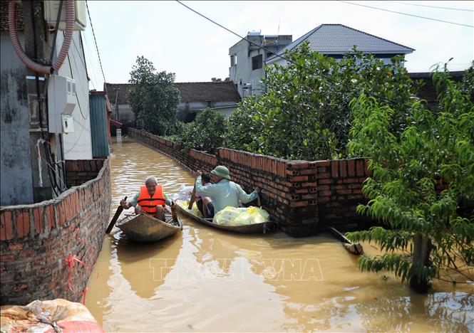 사진 설명