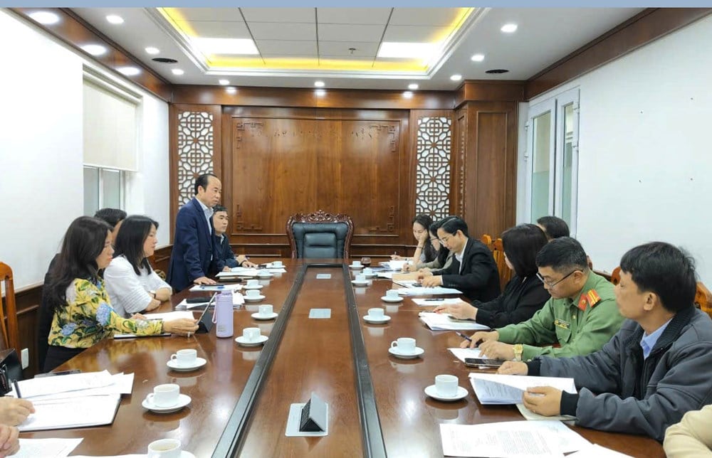 Lam Dong: Implementando muitas atividades para promover o título de Cidade Criativa da Música - foto 1