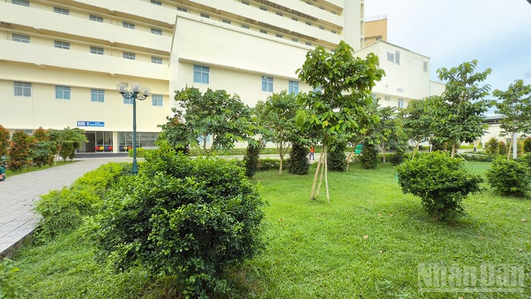 ndo_br_anh-4-khuon-vien-bvdk-tra-vinh.jpg