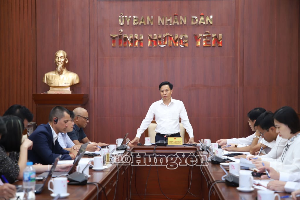 Đồng chí Phó Chủ tịch UBND tỉnh Lại Văn Hoàn phát biểu tại buổi làm việc.