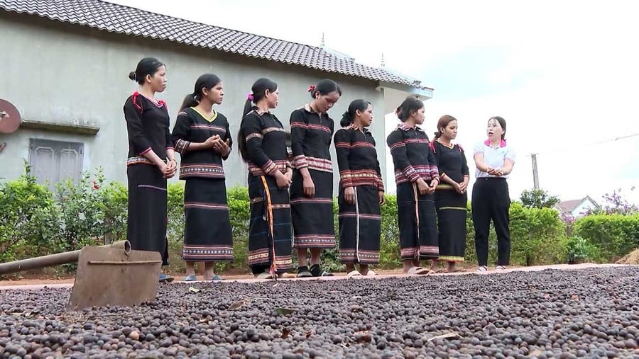 Tổ liên kết sản xuất, tiêu thụ cà phê làng Roh (xã Lơ Pang) trao đổi kinh nghiệm sản xuất. Ảnh: Viễn Khánh